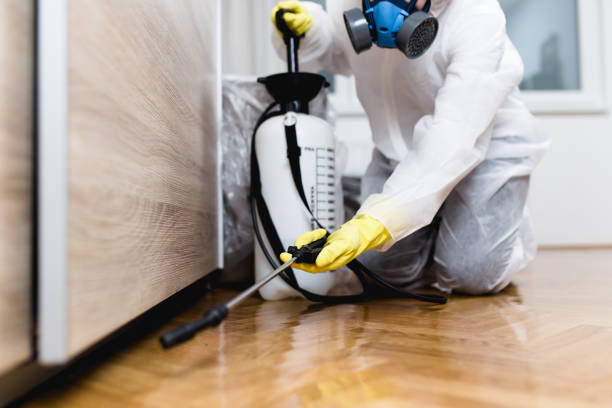 Wasp Removal Services in Mason, MI