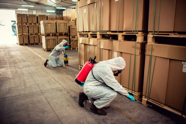 Best Commercial Pest Control Services  in Mason, MI