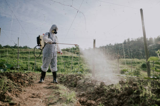 Best Pest Prevention Services  in Mason, MI