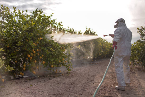 Best Wasp Removal Services  in Mason, MI