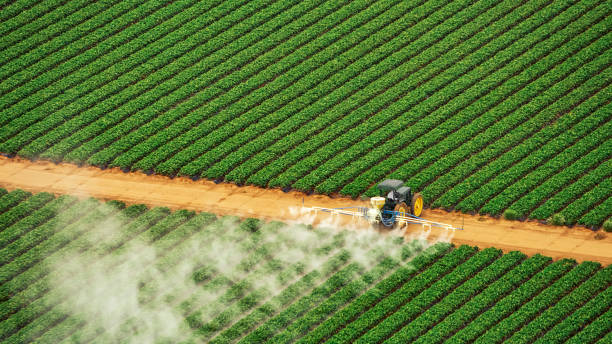 Best Pest Removal Services  in Mason, MI