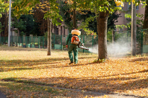 Best Local Pest Control Services  in Mason, MI