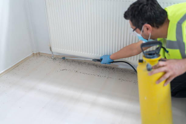 Pest Prevention Services in Mason, MI
