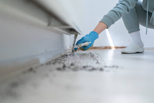 Best Pest Control Near Me  in Mason, MI