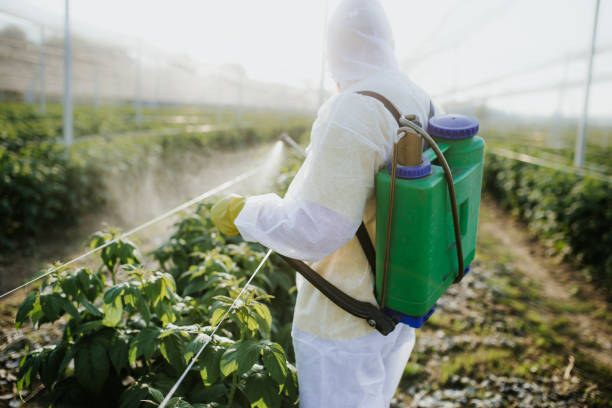 Best Pest Removal Services  in Mason, MI